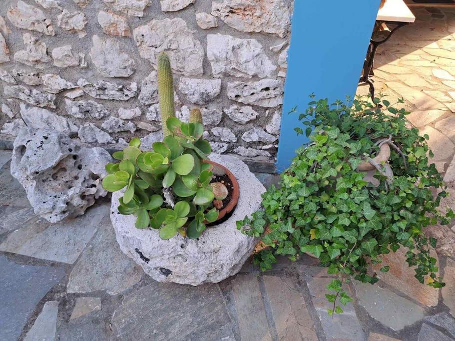 Fragosiko - Rustic Retreat In Kefalonia Argostoli  Bagian luar foto