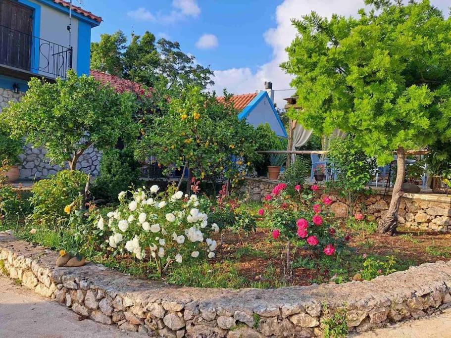 Fragosiko - Rustic Retreat In Kefalonia Argostoli  Bagian luar foto