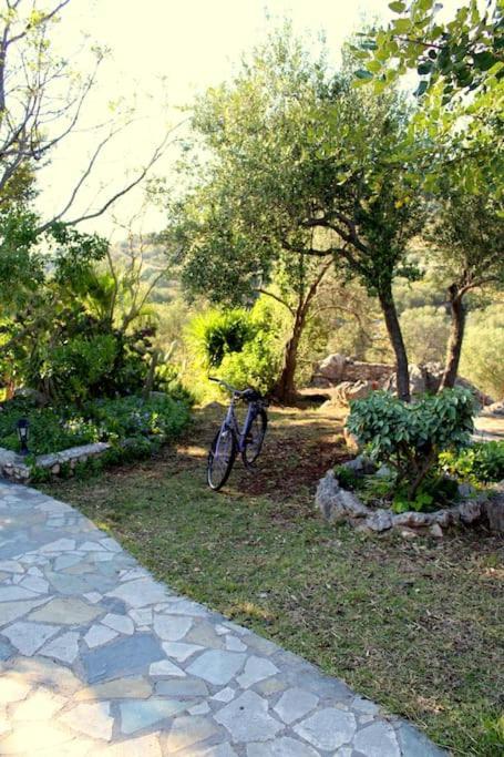 Fragosiko - Rustic Retreat In Kefalonia Argostoli  Bagian luar foto
